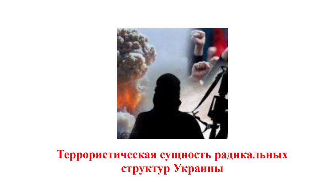 Террористическая сущность украинских радикальных структур..